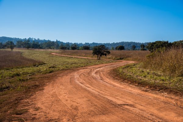 Dirt Driveway Repair in Crossville
