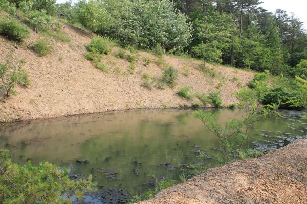Pond Erosion Repair in Crossville